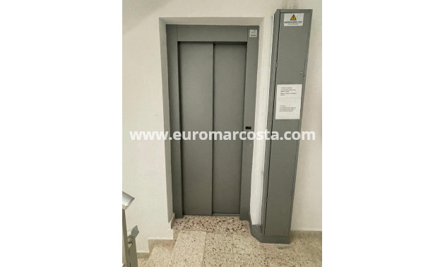 Venta - Apartamento / piso - Torrevieja - TORREVIEJA