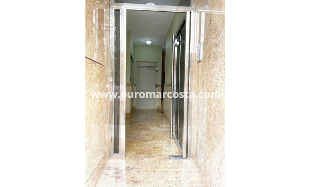 Venta - Apartamento / piso - Torrevieja - TORREVIEJA