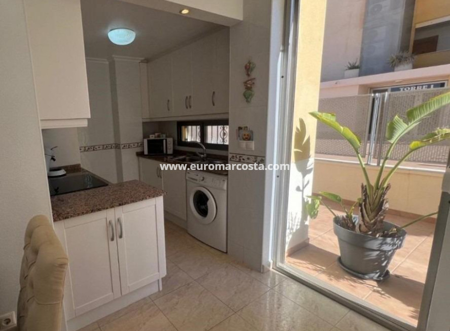 Sale - Apartment / flat - Guardamar del Segura