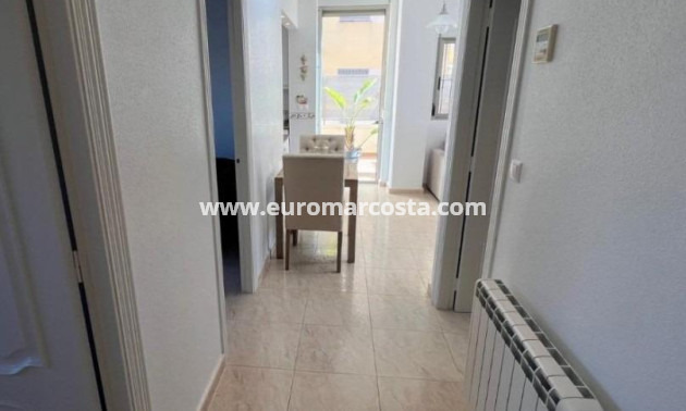 Sale - Apartment / flat - Guardamar del Segura