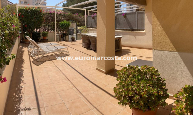 Sale - Apartment / flat - Guardamar del Segura