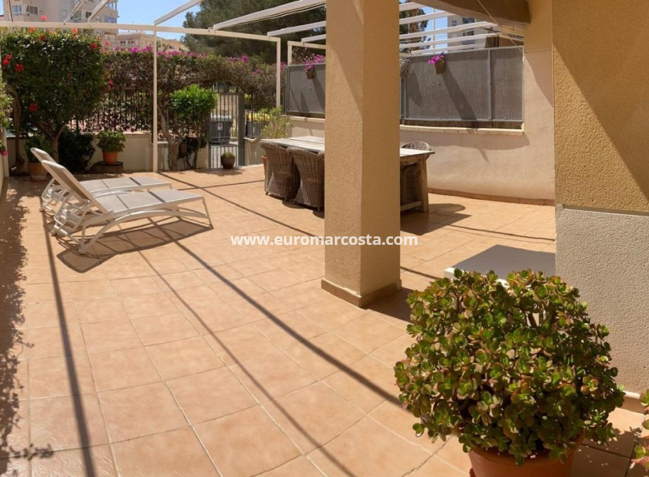 Sale - Apartment / flat - Guardamar del Segura