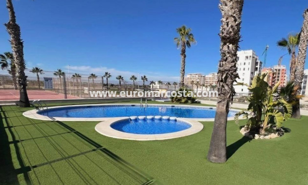 Sale - Apartment / flat - Guardamar del Segura