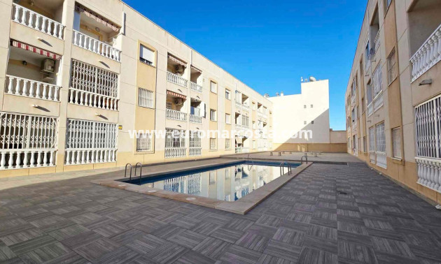Venta - Apartamento / piso - Torrevieja - TORREVIEJA