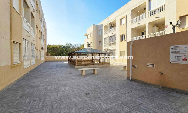 Venta - Apartamento / piso - Torrevieja - TORREVIEJA