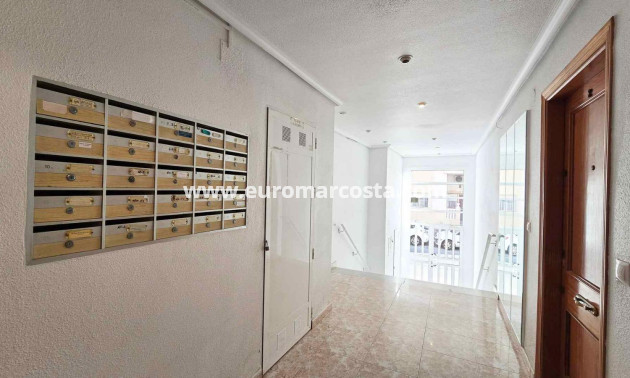 Venta - Apartamento / piso - Torrevieja - TORREVIEJA
