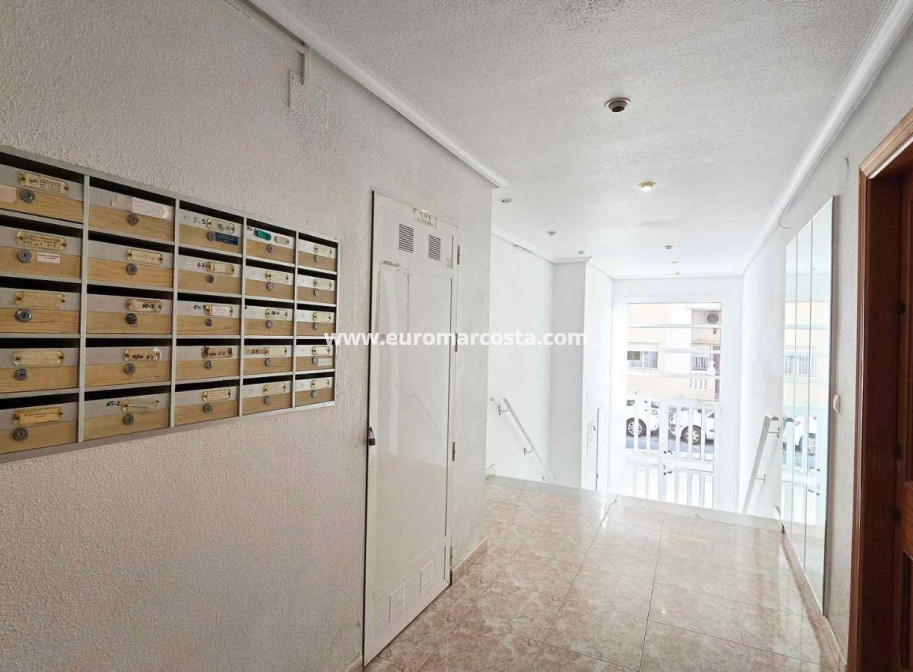 Venta - Apartamento / piso - Torrevieja - TORREVIEJA