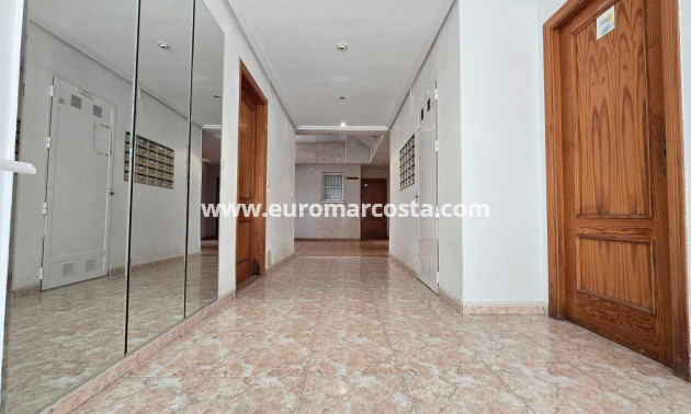Venta - Apartamento / piso - Torrevieja - TORREVIEJA