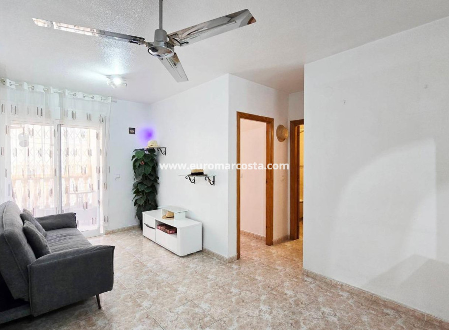 Venta - Apartamento / piso - Torrevieja - TORREVIEJA