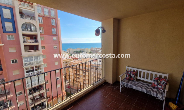 Venta - Apartamento / piso - Torrevieja - TORREVIEJA