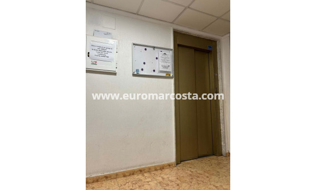 Venta - Apartamento / piso - Torrevieja - TORREVIEJA