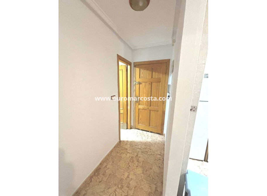 Venta - Apartamento / piso - Torrevieja - TORREVIEJA