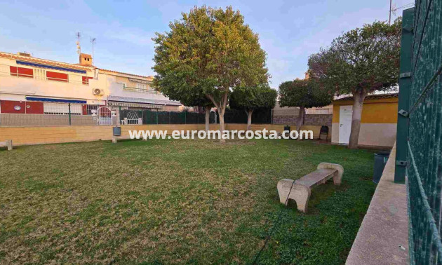 Objekte zum Wiederverkauf - Wohnung - Torrevieja - TORREVIEJA