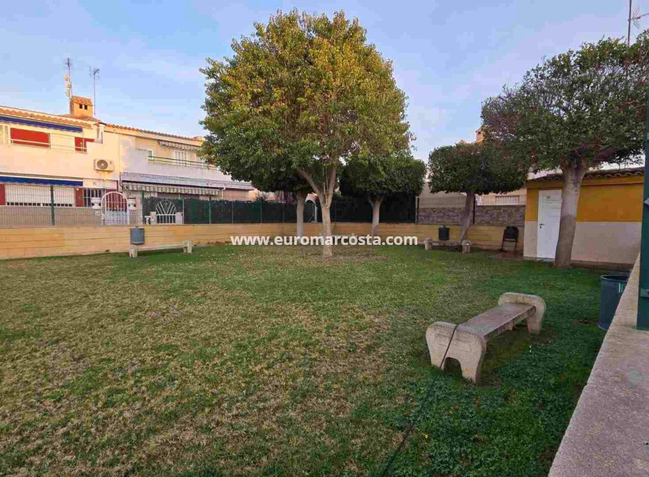 Objekte zum Wiederverkauf - Wohnung - Torrevieja - TORREVIEJA