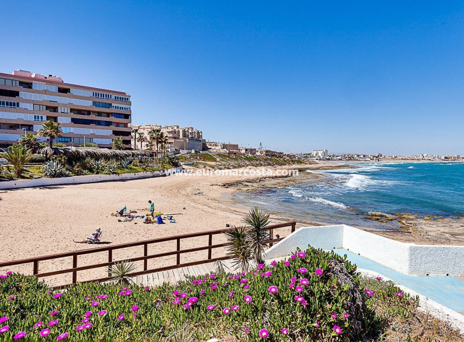 Objekte zum Wiederverkauf - Stadthaus - Torrevieja - Los Europeos