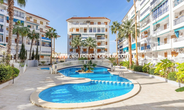 Venta - Apartamento / piso - Torrevieja - La Mata