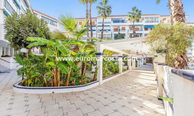 Venta - Apartamento / piso - Torrevieja - La Mata