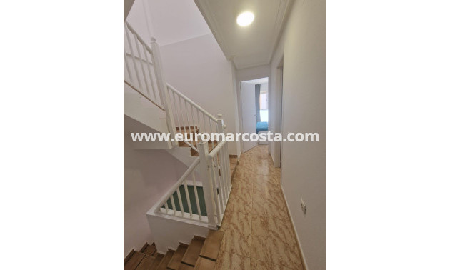 Sale - Tripex - Orihuela Costa