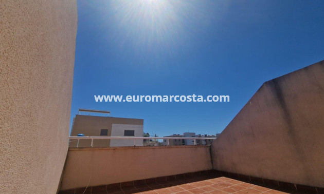 Sale - Tripex - Orihuela Costa