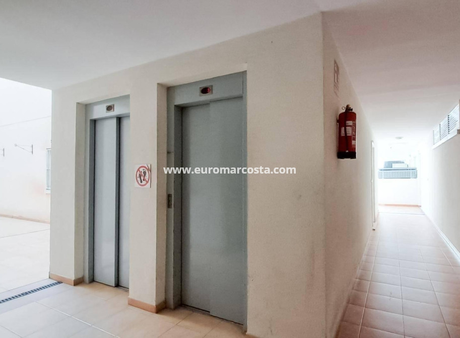 Sale - Penthouse - Almoradi - Centro urbano 2