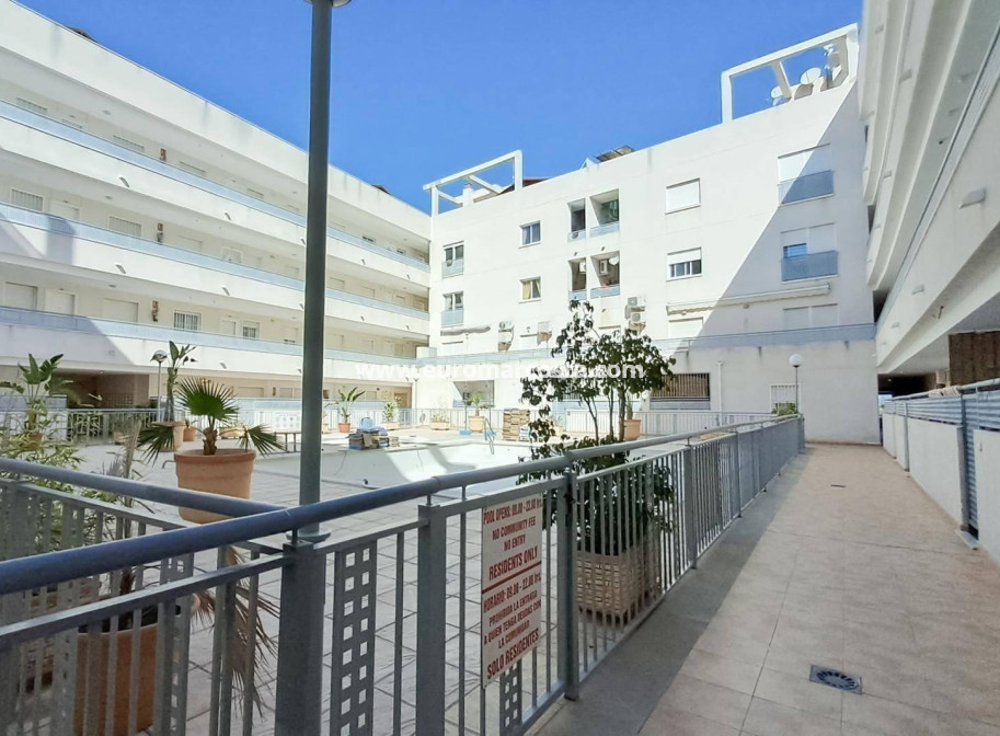 Sale - Penthouse - Almoradi - Centro urbano 2