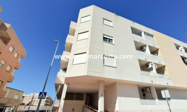 Sale - Penthouse - Almoradi - Centro urbano 2