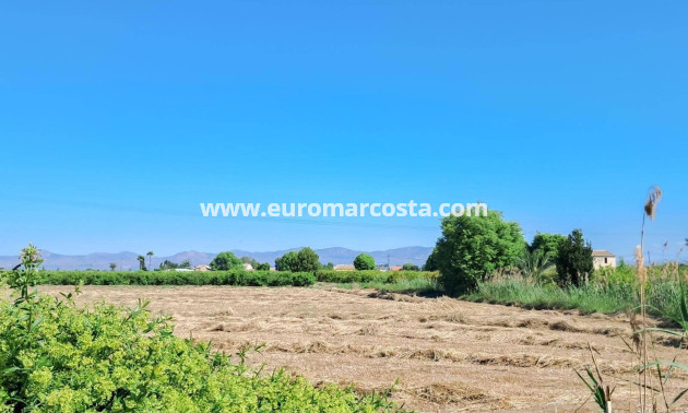 Sale - Penthouse - Almoradi - Centro urbano 2