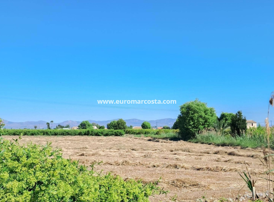 Sale - Penthouse - Almoradi - Centro urbano 2