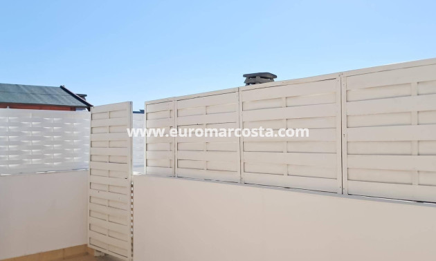 Sale - Penthouse - Almoradi - Centro urbano 2