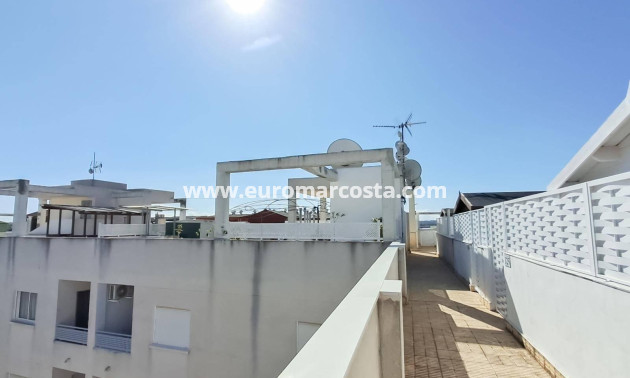 Sale - Penthouse - Almoradi - Centro urbano 2
