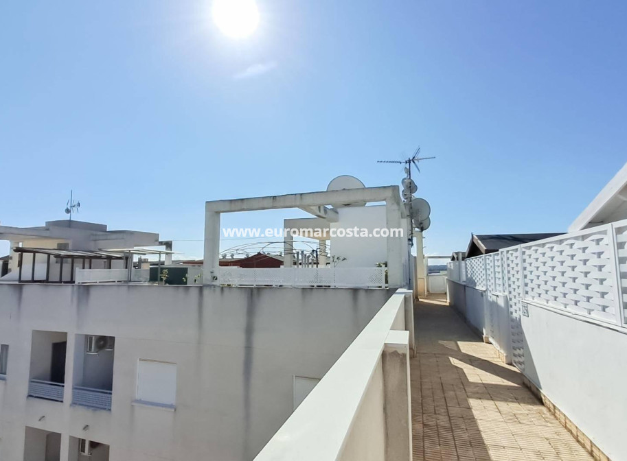 Sale - Penthouse - Almoradi - Centro urbano 2