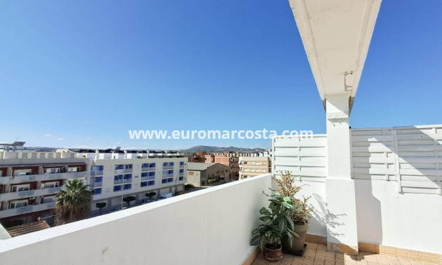 Sale - Penthouse - Almoradi - Centro urbano 2