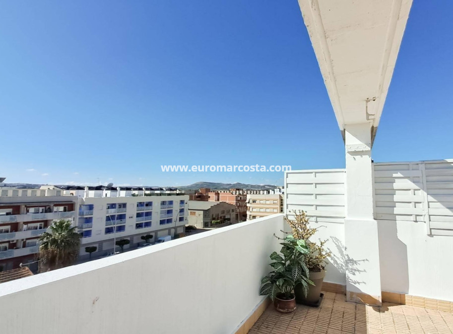 Sale - Penthouse - Almoradi - Centro urbano 2