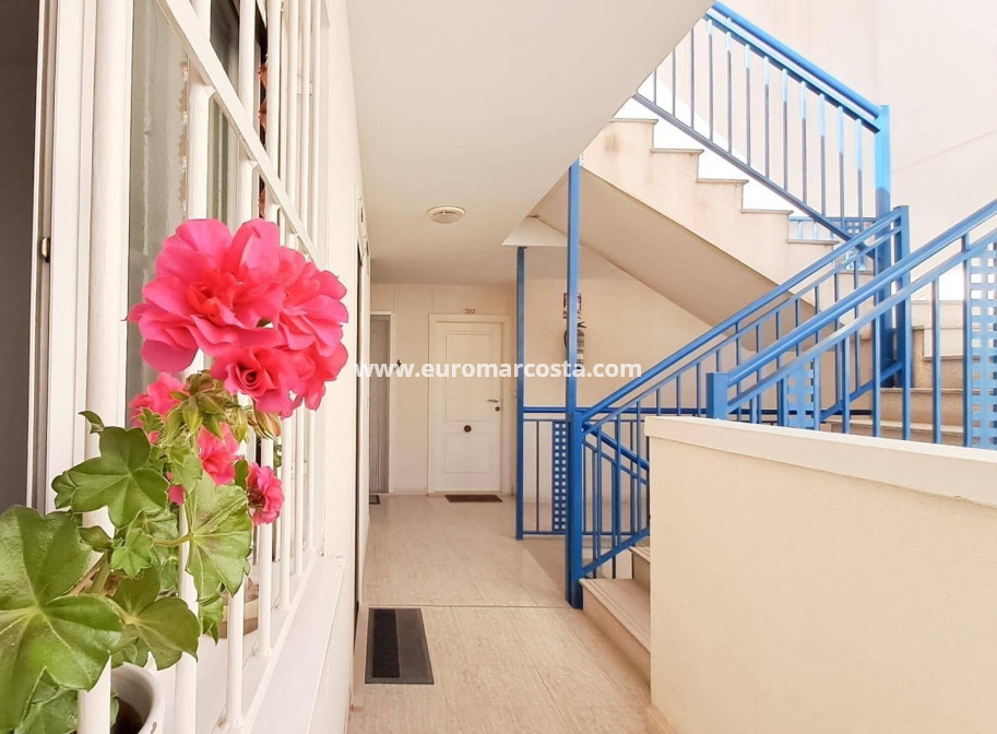 Sale - Penthouse - Almoradi - Centro urbano 2