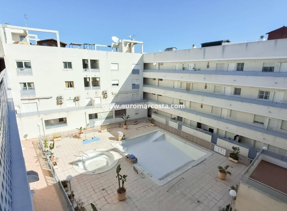 Sale - Penthouse - Almoradi - Centro urbano 2