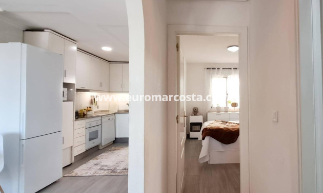 Sale - Penthouse - Almoradi - Centro urbano 2
