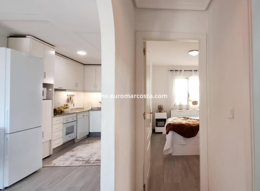 Sale - Penthouse - Almoradi - Centro urbano 2