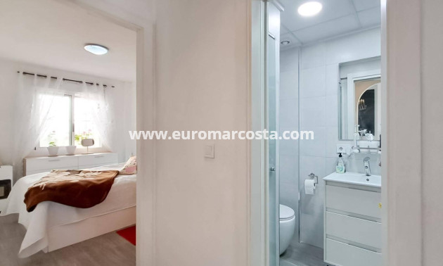 Sale - Penthouse - Almoradi - Centro urbano 2