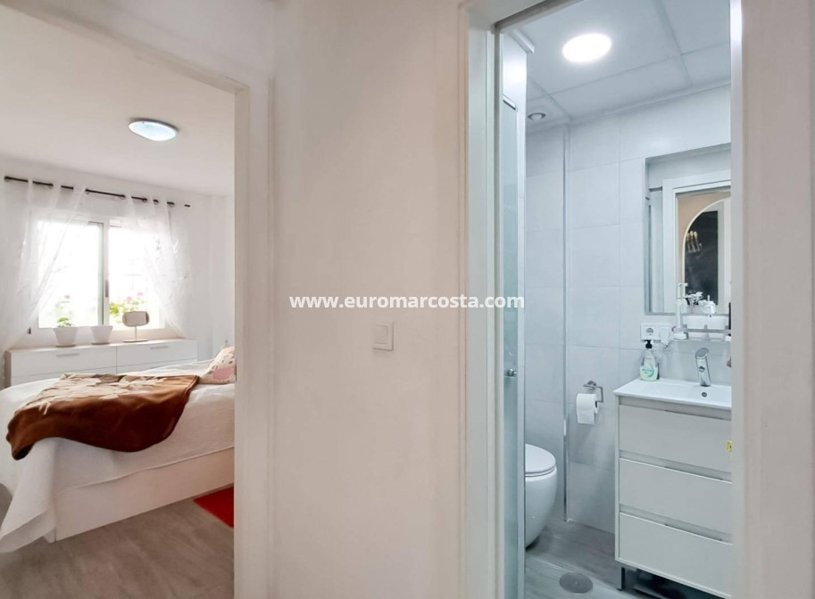 Sale - Penthouse - Almoradi - Centro urbano 2