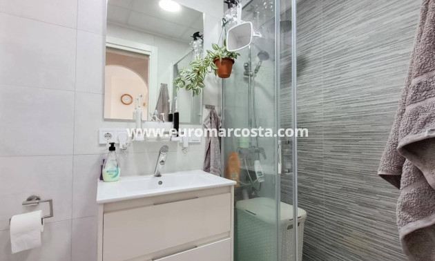 Sale - Penthouse - Almoradi - Centro urbano 2
