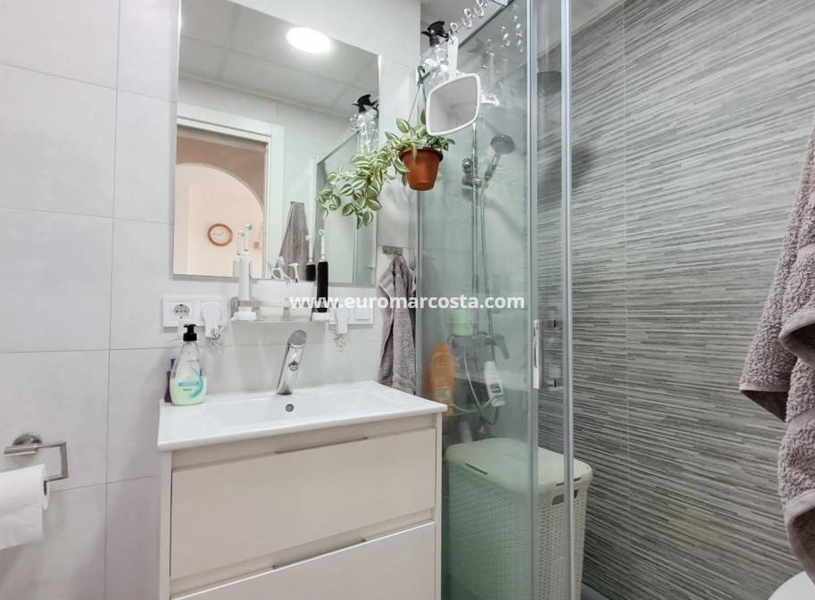 Sale - Penthouse - Almoradi - Centro urbano 2