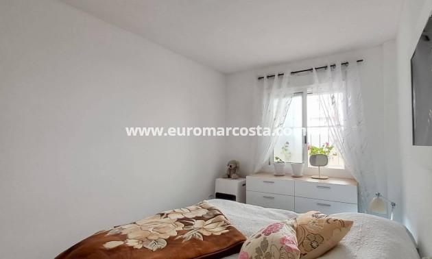 Sale - Penthouse - Almoradi - Centro urbano 2