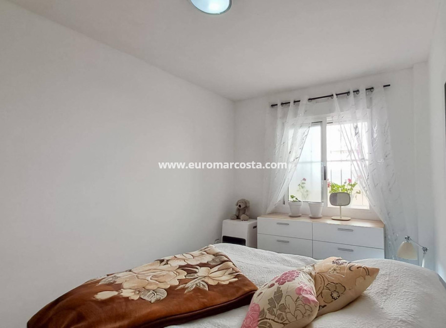 Sale - Penthouse - Almoradi - Centro urbano 2