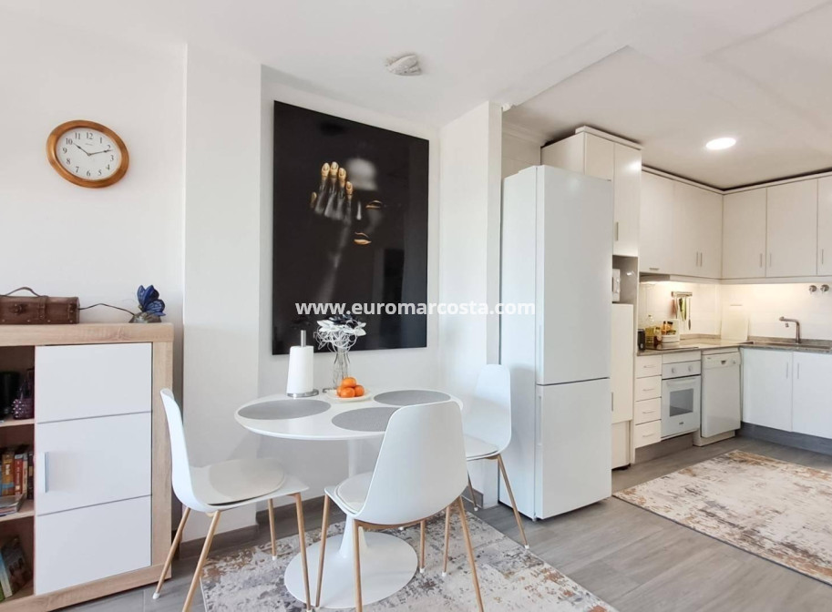 Sale - Penthouse - Almoradi - Centro urbano 2
