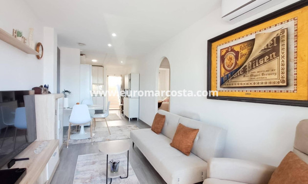 Sale - Penthouse - Almoradi - Centro urbano 2