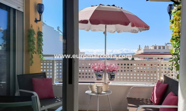 Sale - Penthouse - Almoradi - Centro urbano 2