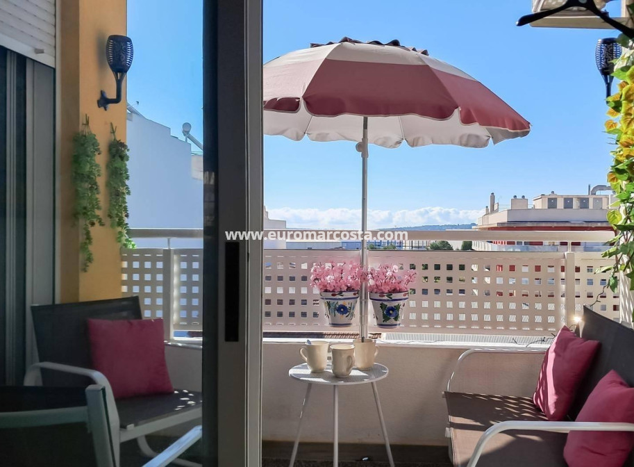 Sale - Penthouse - Almoradi - Centro urbano 2