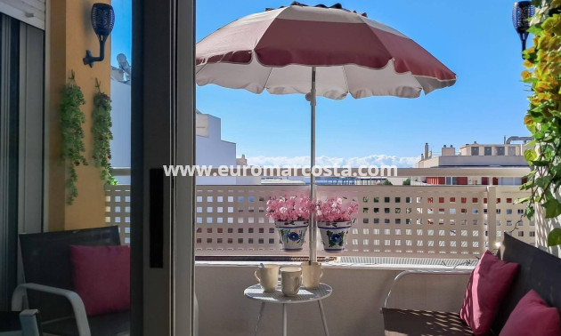 Sale - Penthouse - Almoradi - Centro urbano 2