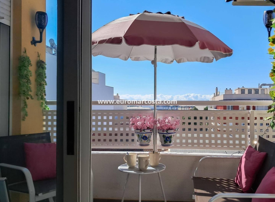 Sale - Penthouse - Almoradi - Centro urbano 2