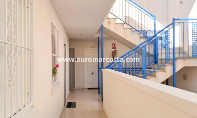 Sale - Penthouse - Almoradi - Centro urbano 2